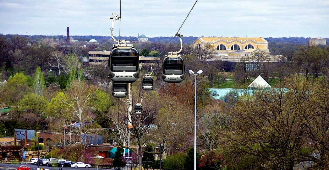 St. Louis Zoo - Expansion Framework Plan Open House